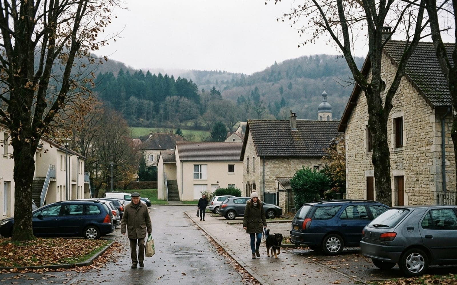 Rue de village un jour de pluie, voitures stationnées, maisons en pierre et petit collectif au pied d’un coteau boisé